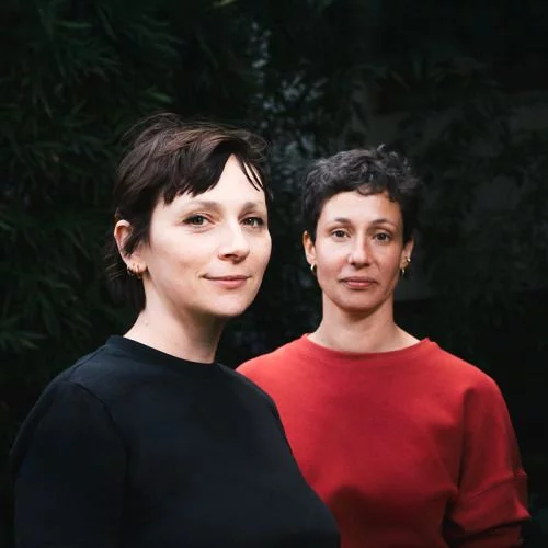 Alice Zeniter & Phoebe Hadjimarkos Clarke, Les mauvais jours finiront