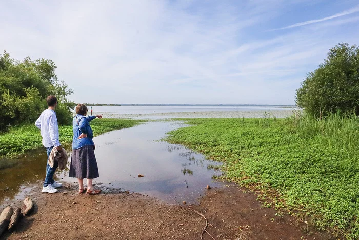 Visite commentée du site naturel de Pierre Aigue, au bord du lac de Grand Lieu