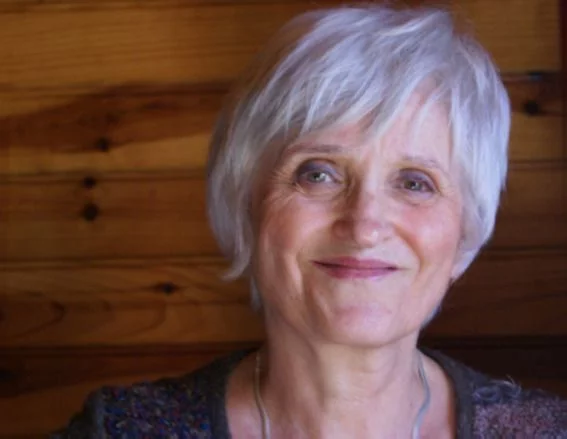 Roseline Villaumé : Dialogue avec la nuit