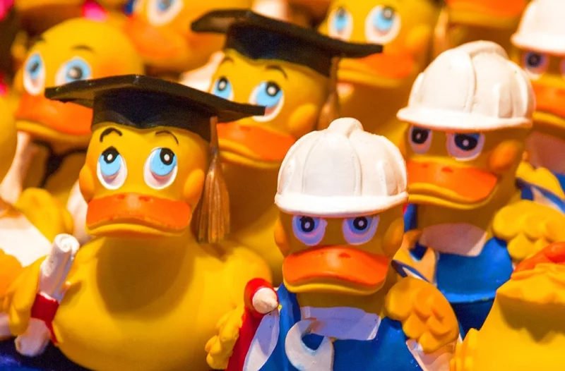 Les Estivales | Course de petits canards