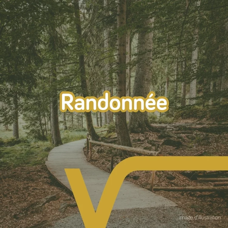 Randonnée pédestre