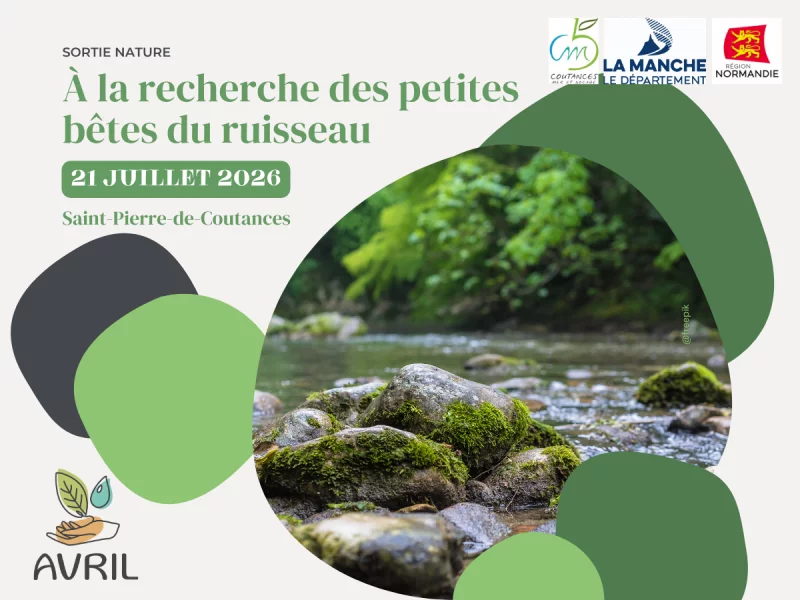 A la recherche des petites bêtes du ruisseau