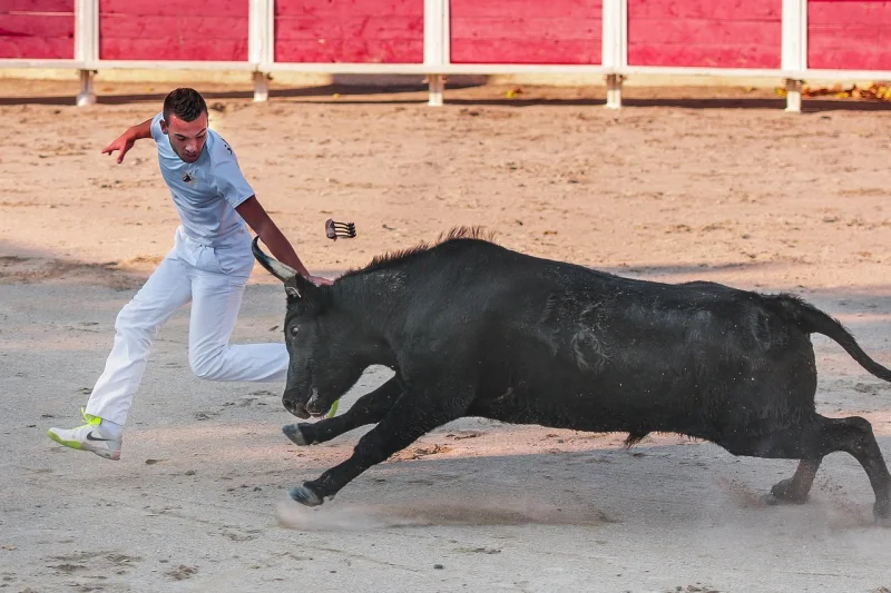 Concours de raseteurs