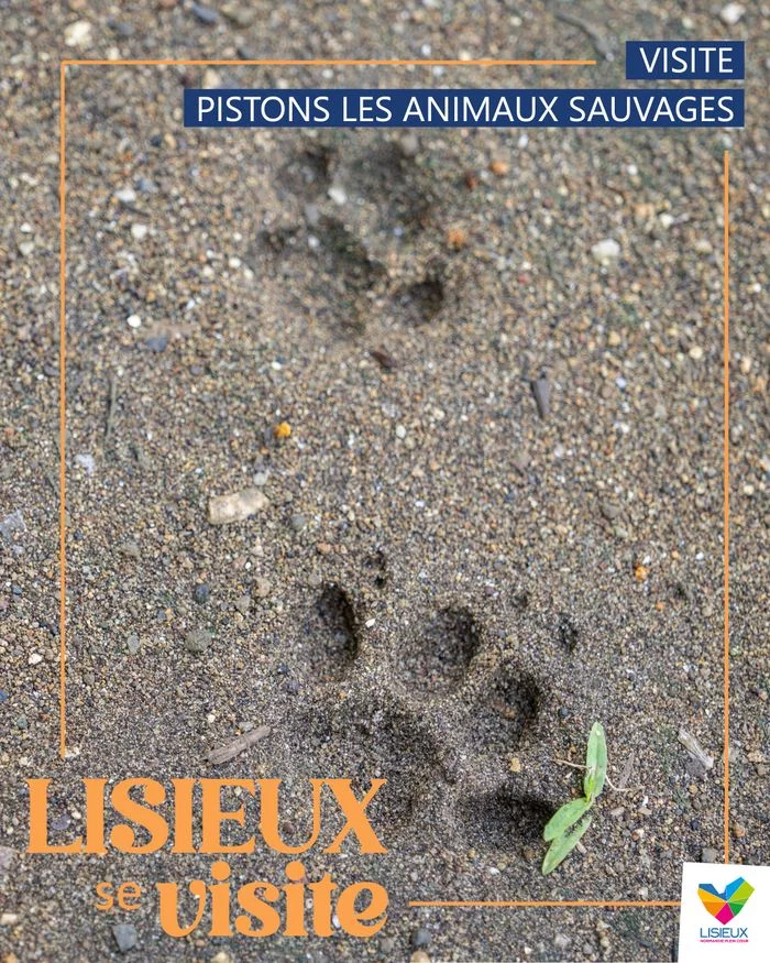 Visite - Pistons les animaux sauvages