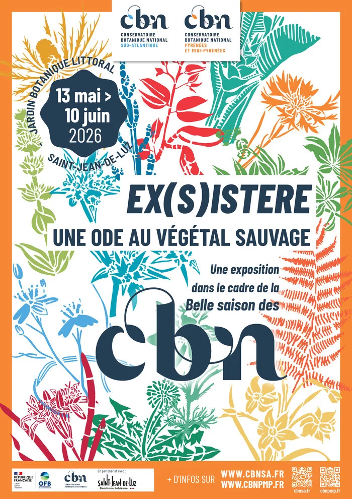 Exposition Ex(s)istere, une ode au végétal sauvage