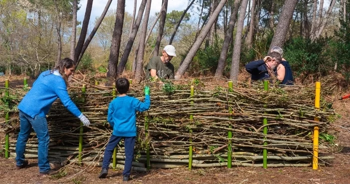 Chantier participatif au Thil : création d’une haie sèche