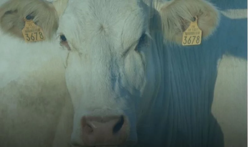 Comice agricole départemental
