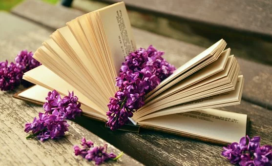 Les Petites Lectures du Mercredi