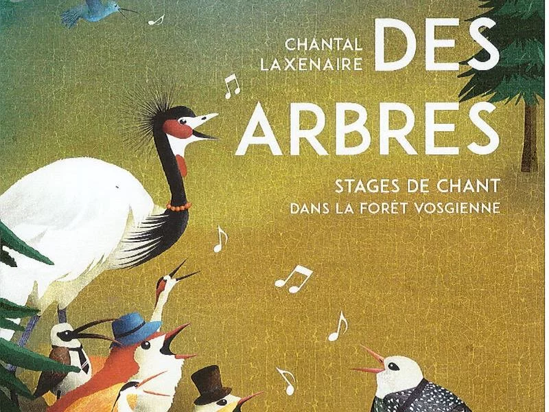 Stage de chant