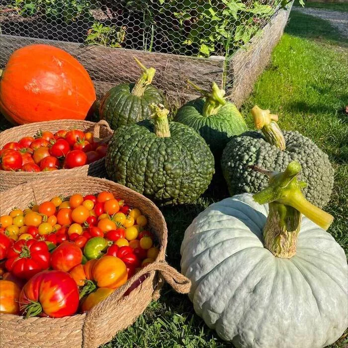 DP - Le potager des jardiniers