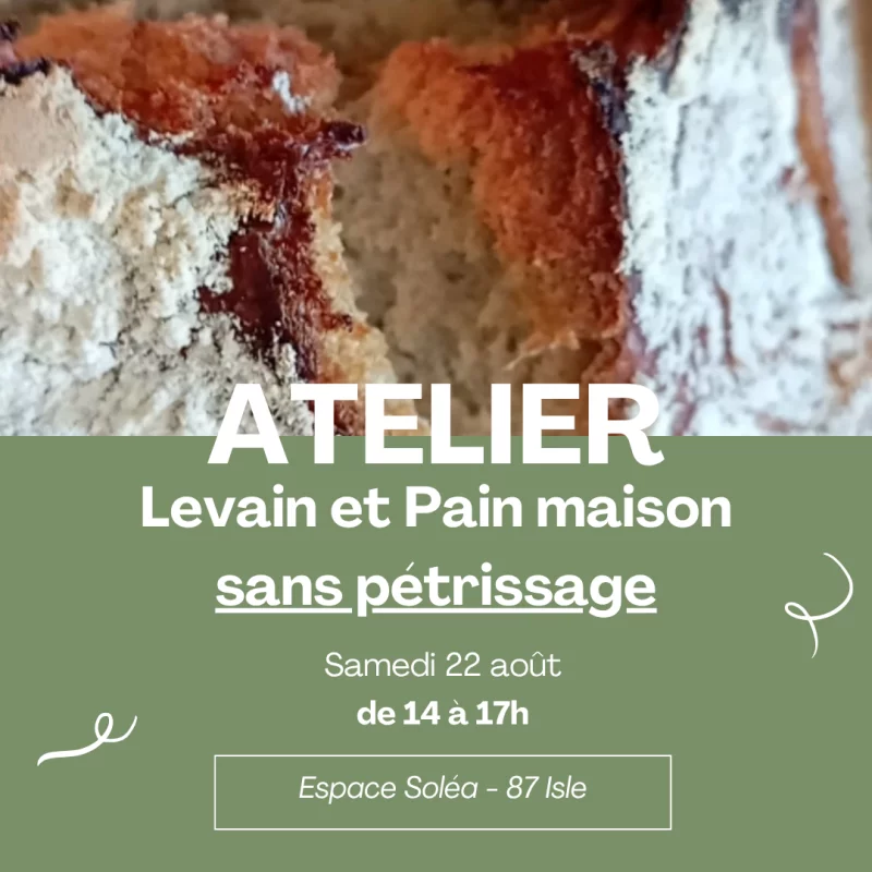 Atelier / stage - Levain et pain au levain sans pétrissage