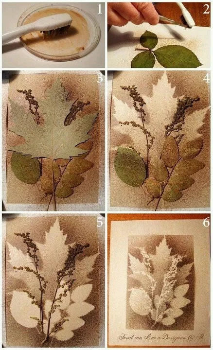Atelier du samedi - Herbier en empreintes