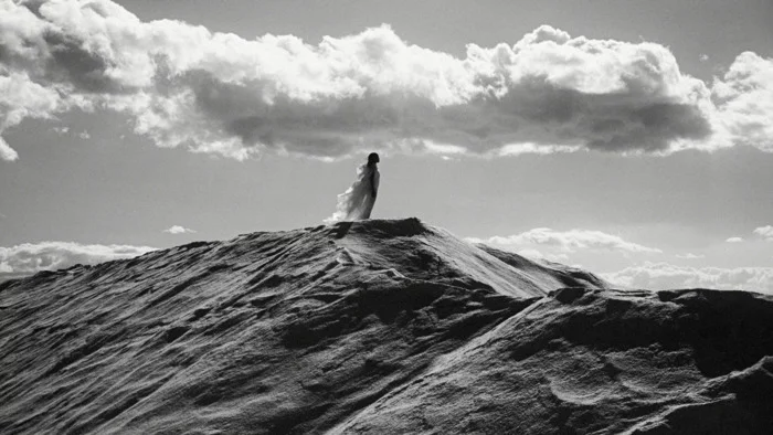 LUMA Arles / In Search of… Incredible