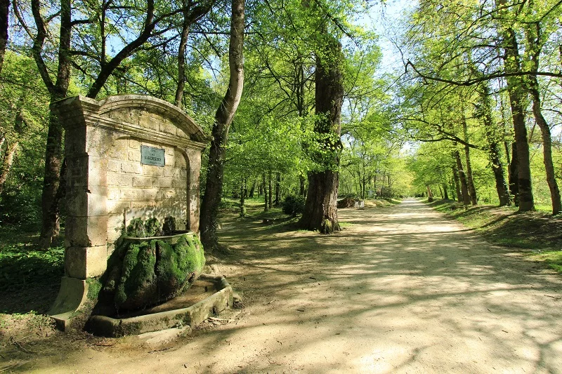 Laissez-vous conter les jardins du Roi...