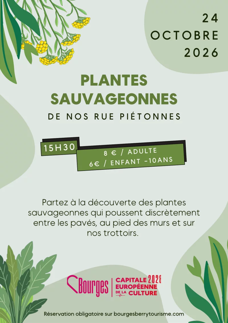 Animation : Les Plantes Sauvageonnes De Nos Rues Piétonnes