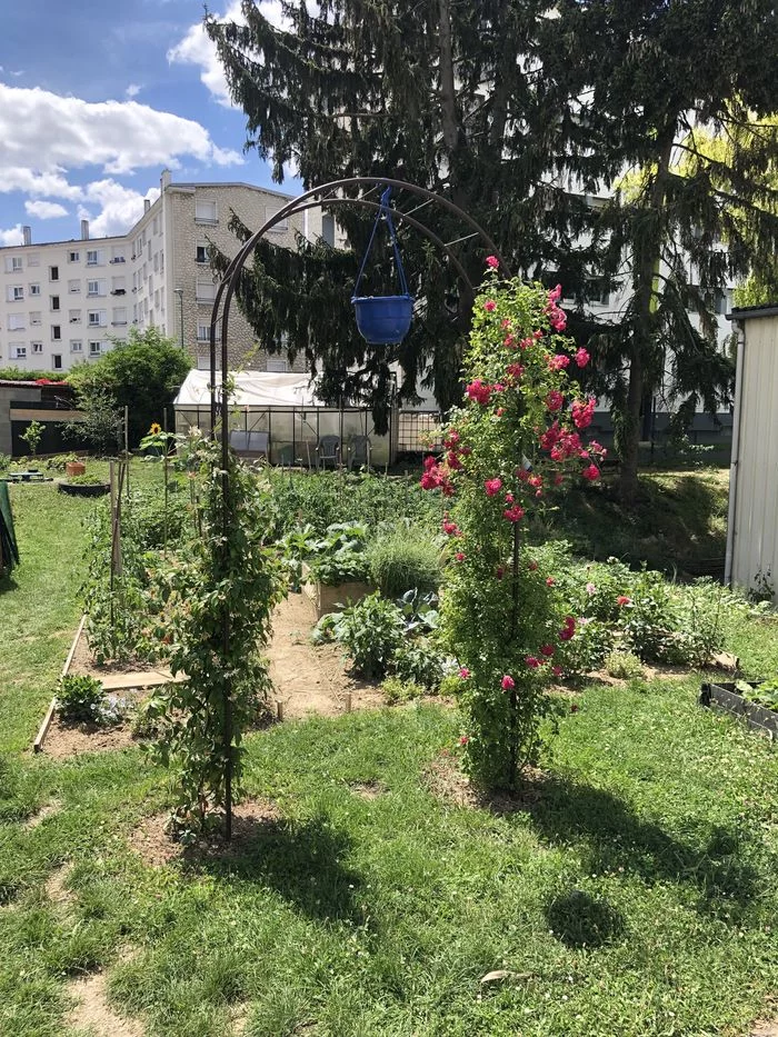 Atelier jardinage pratique