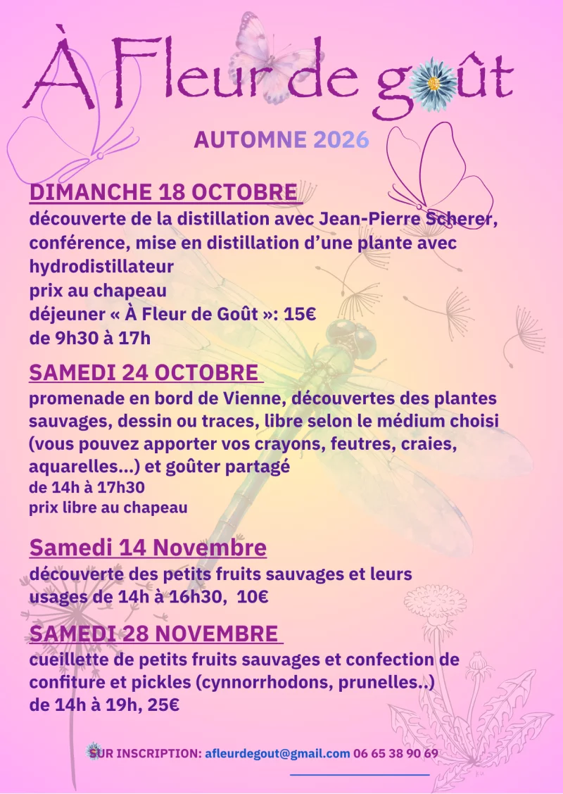 Decouvertes des plantes sauvages et leurs usages