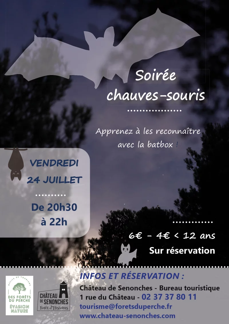Soirée Chauves-souris