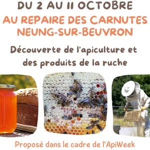 Animations autour de la ruche, des abeilles et du miel