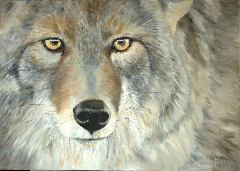 Exposition - "Voisins de vie" de Hélène LAGASSAN