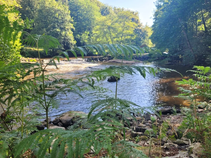 Balade bien-être au fil de l'eau - Août