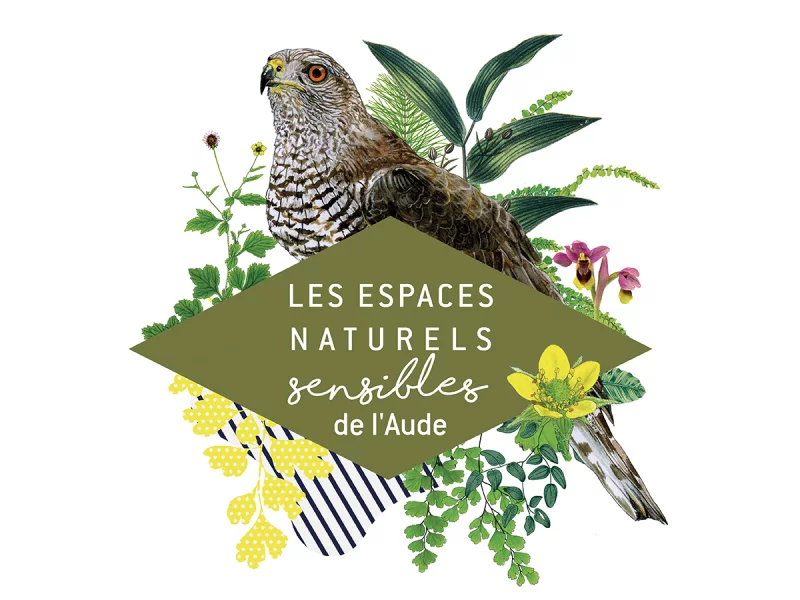 ENS - JOURNÉE EUROPÉENNE DES OISEAUX MIGRATEURS