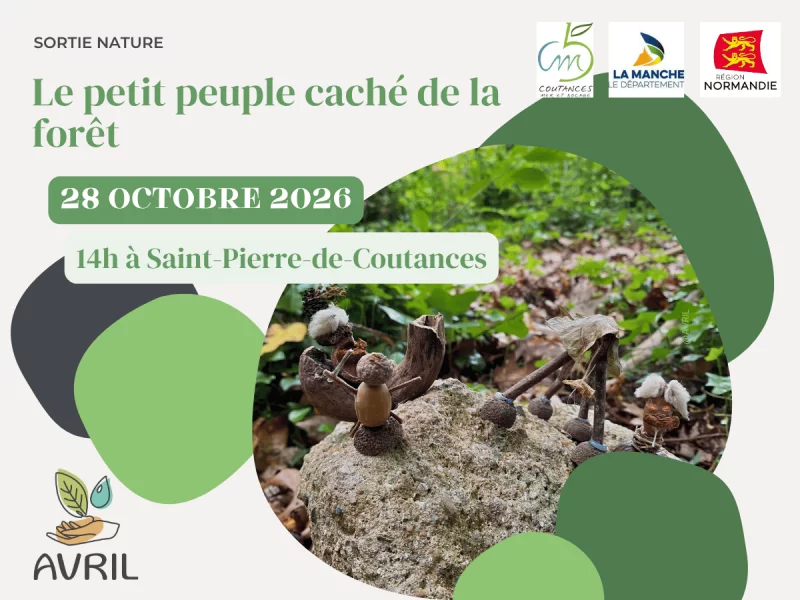 Le petit peuple caché de la forêt