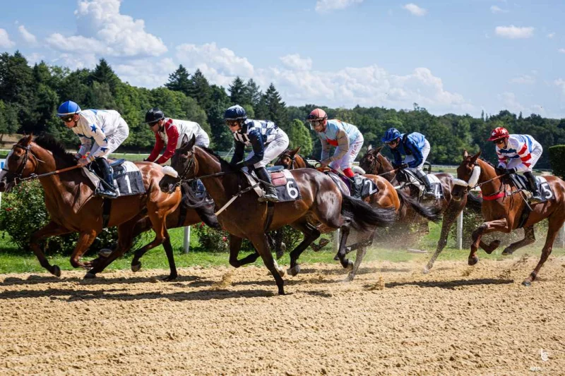 Courses hippiques : Fête du cheval