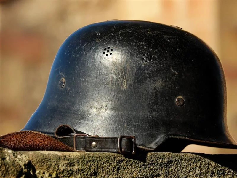Jeu de piste : le trésor perdu d'un Stein poilu