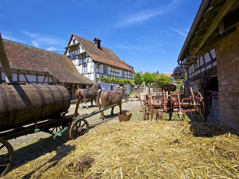 Mercredi à la campagne