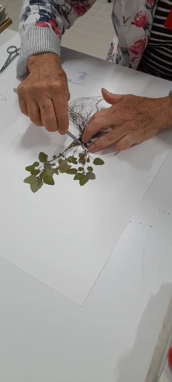 Ateliers créatifs