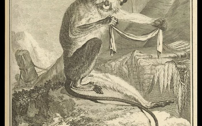 Conte tout petits : Animalia. Zimba et le bracelet perdu - Hôtel de la Marine