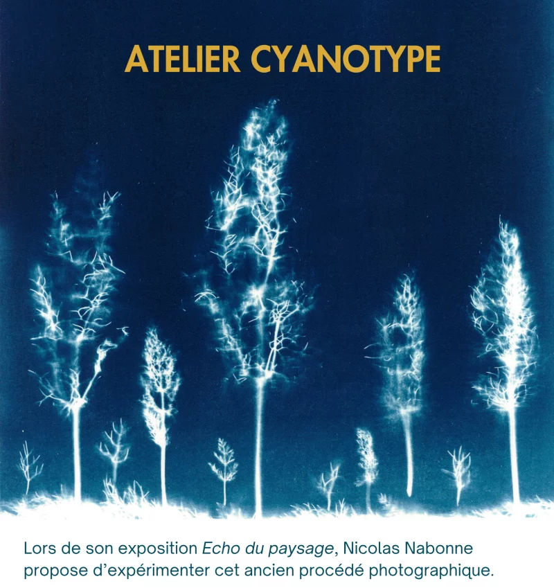 ATELIER CYANOTYPE