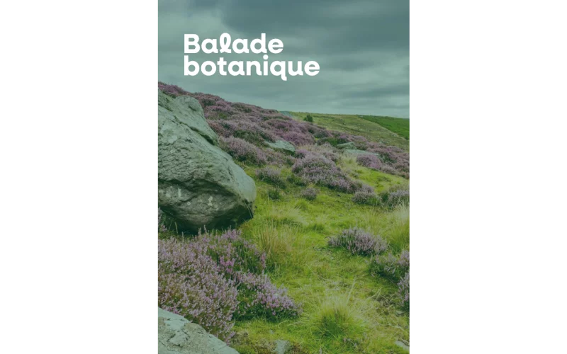 Balade botanique