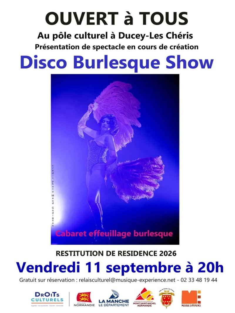 Disco Burlesque Show