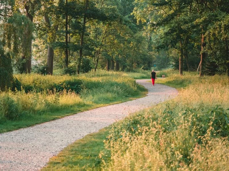 Renc'art avec Valérie Meyer : Petite promenade dans le Bas-Rhin