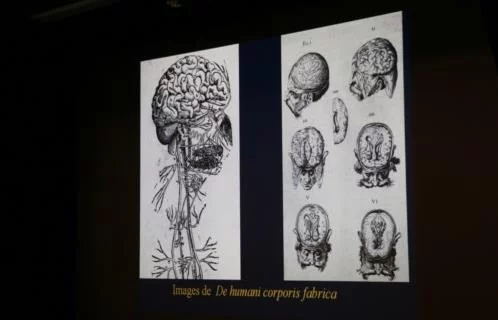 CONFERENCE « 1884-2026 : UN SIECLE ET DEMI D’HISTOIRE DE LA NEUROCHIRURGIE »