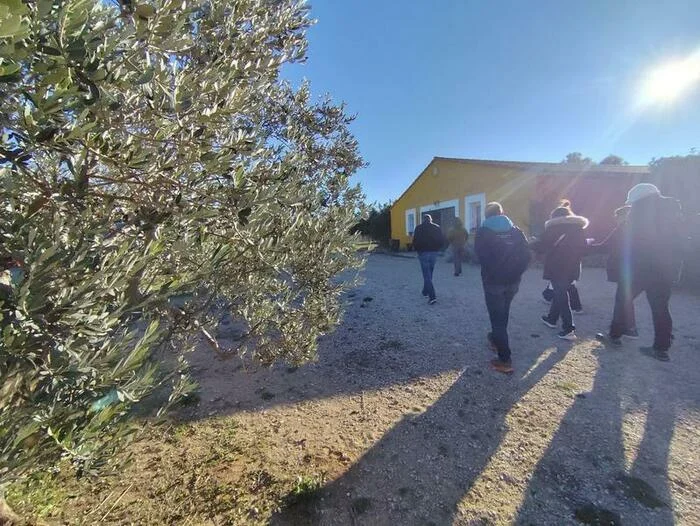 Rencontre avec une oléicultrice au Domaine Plan de Fossan