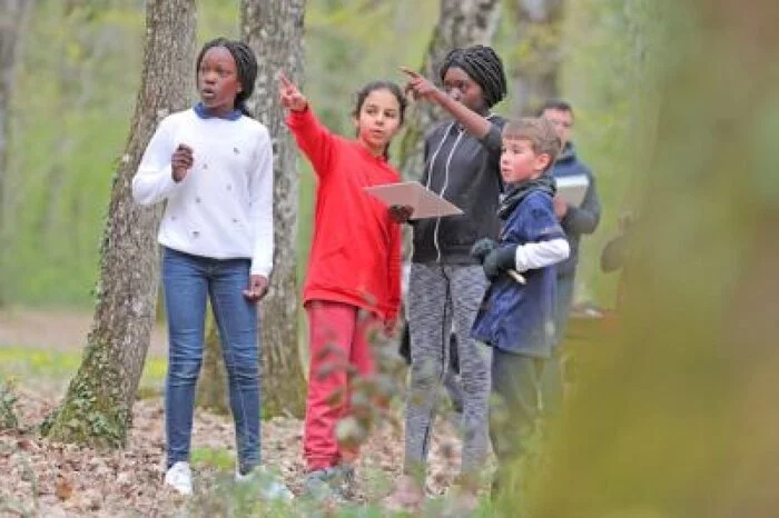 Mission Aventuriers au Bois de Saint-Pierre