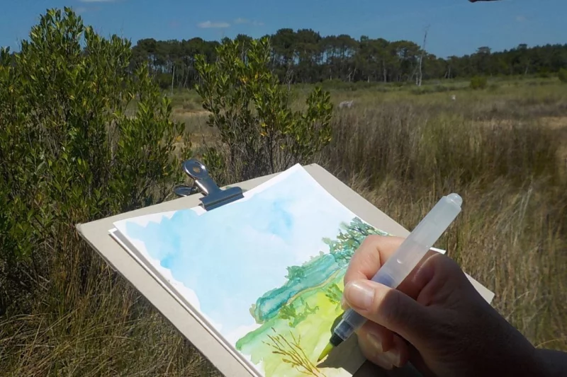Sortie aquarelle sur les oiseaux