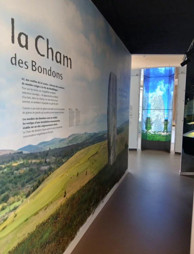 VISITE GUIDÉE DE LA MAISON DES MENHIRS