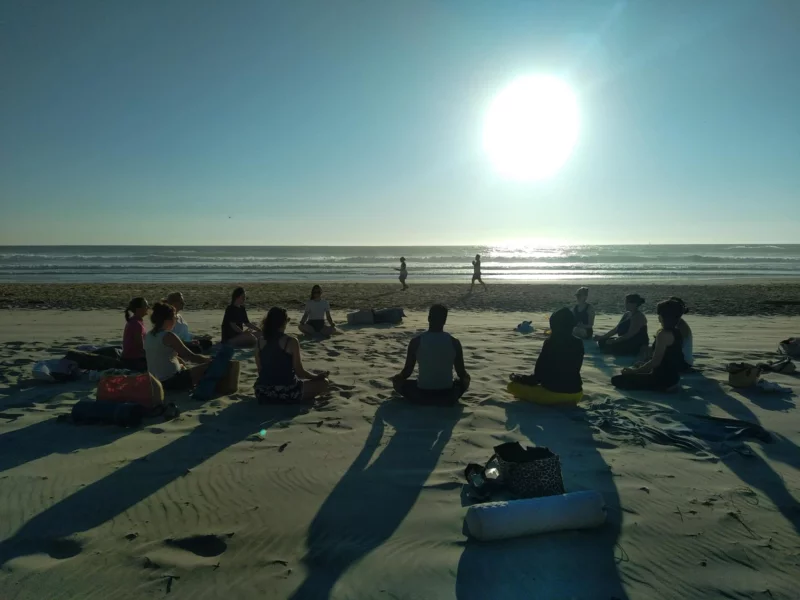 Stage de Hatha Yoga en plein air