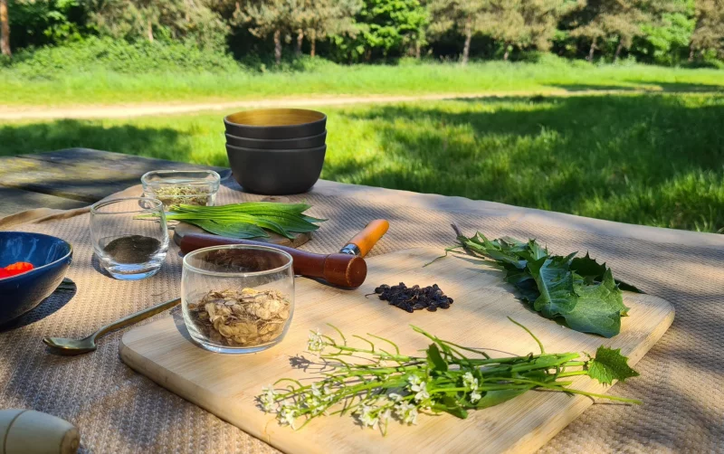 Atelier cuisine des plantes sauvage
