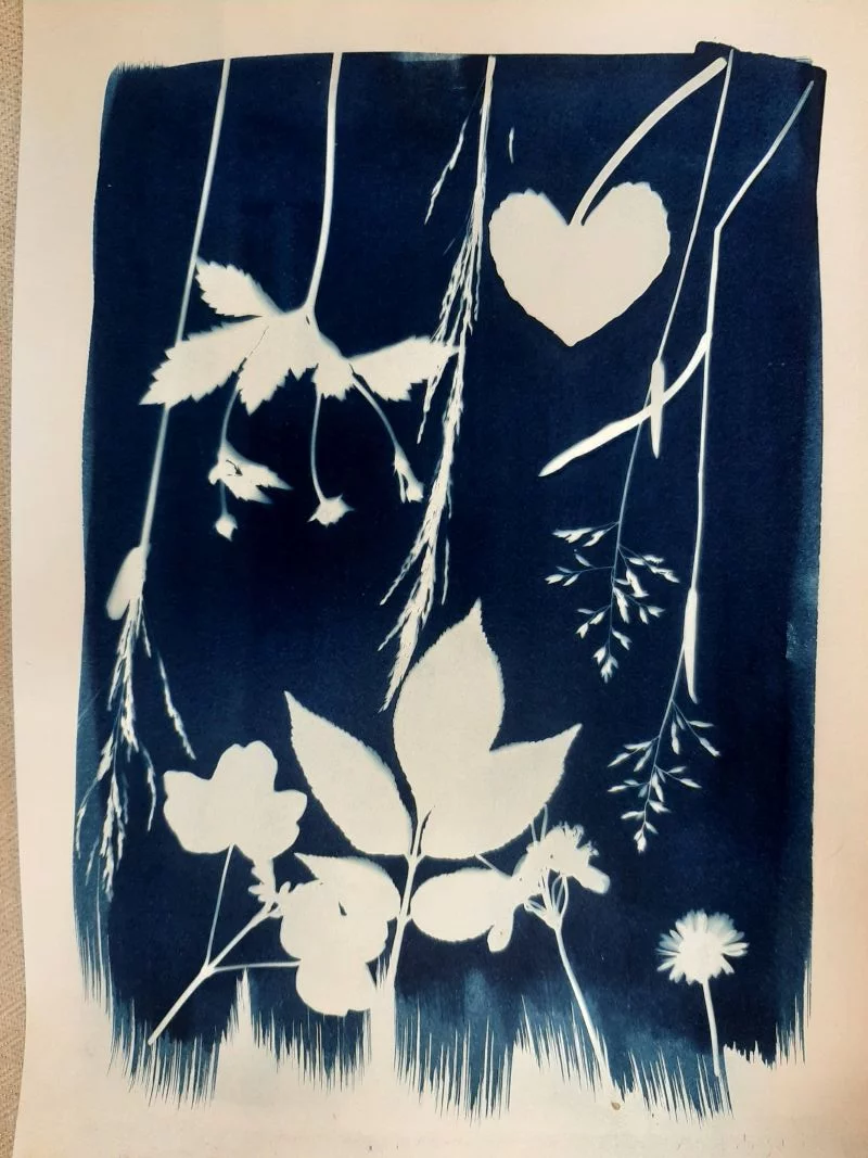 Mon jardin bleuté