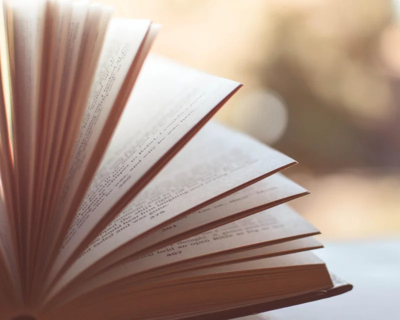 La grande braderie Lire et faire lire