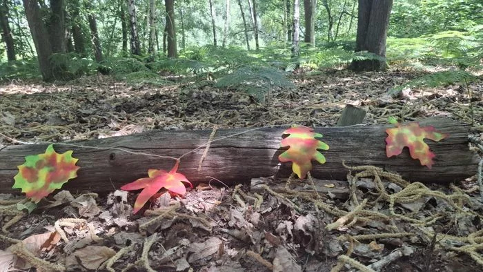 COMPLET | Guirlande de feuilles d’automne et d’encre