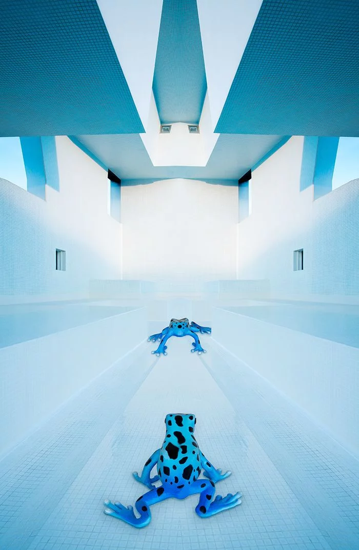 Éric Peltier - Fear of a blue planet
