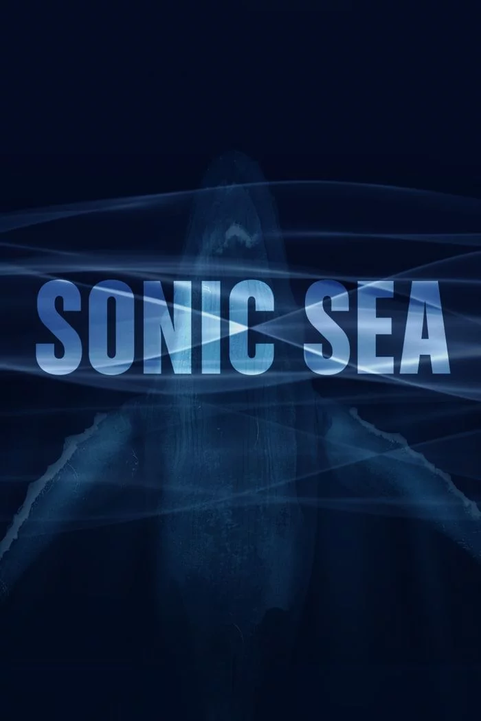 Ciné-Débat "Sonic Sea"