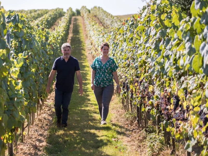 Vignobles en Scène "Banquet Vagabond et bal des Vivants", au Domaine Damiens