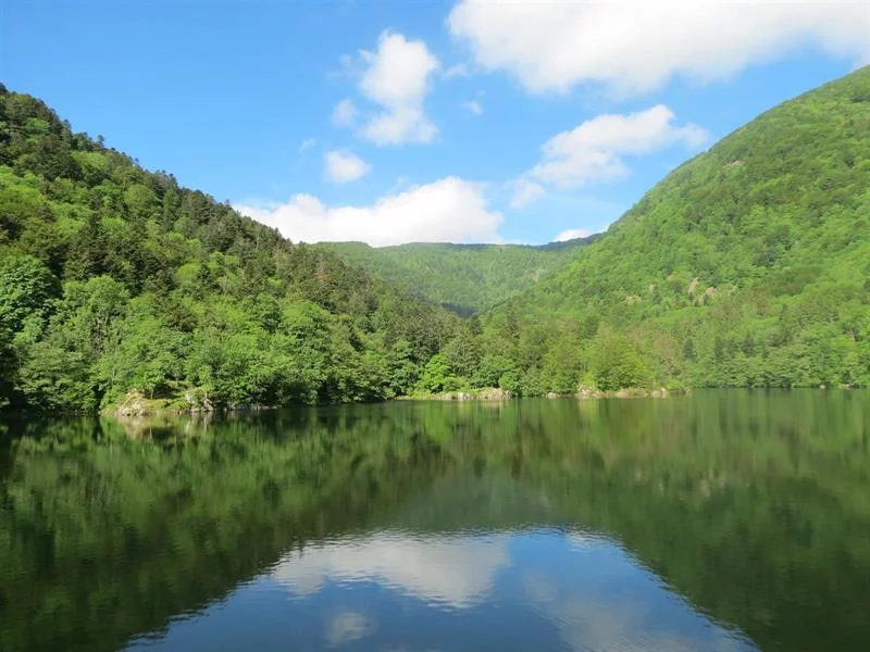 Balade : L'eau sculpteur de paysages